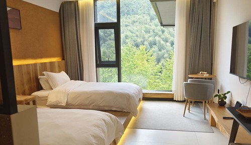Classic Twin Room, Mountain View