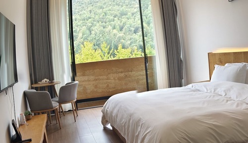 Basic Double Room, Mountain View