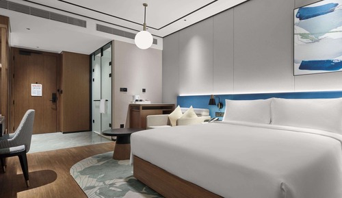 Room, 1 King Bed