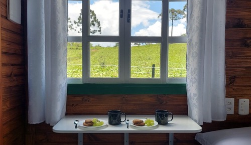 Standard Studio, Balcony, Mountain View