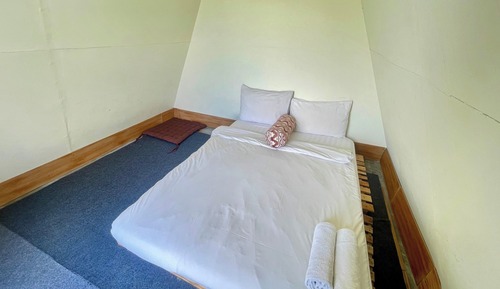 Standard Tent