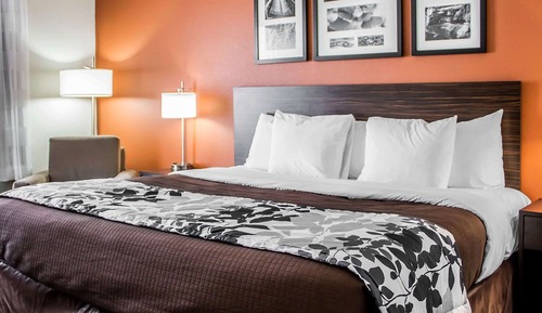 Standard Room, 1 King Bed, Non Smoking