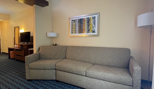 Executive Suite, 1 King Bed with Sofa bed, Non Smoking (Hearing Accessible)