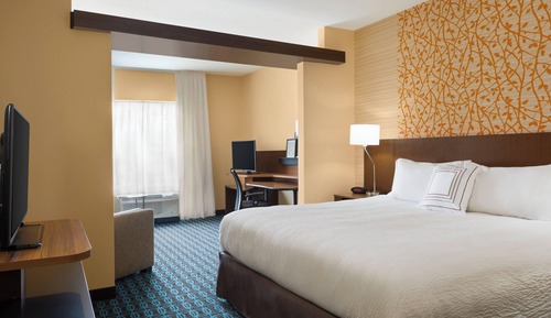 Executive Suite, 1 King Bed with Sofa bed