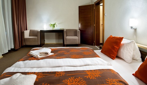 Deluxe Double or Twin Room