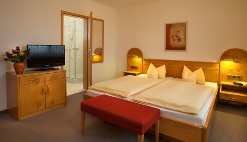 Standard Double or Twin Room, 1 Double Bed