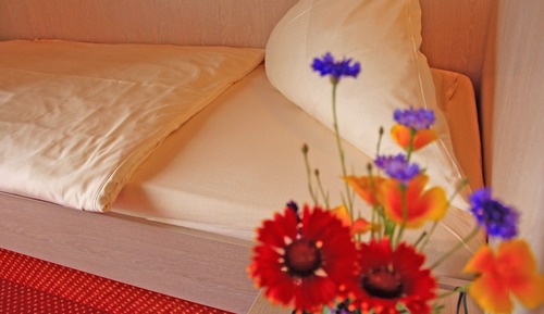 Standard Single Room, 1 Twin Bed