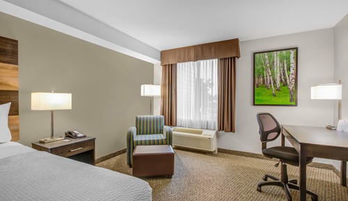 Room, 1 King Bed, Non Smoking