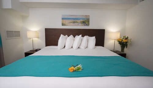 Nonsmoking King Suite