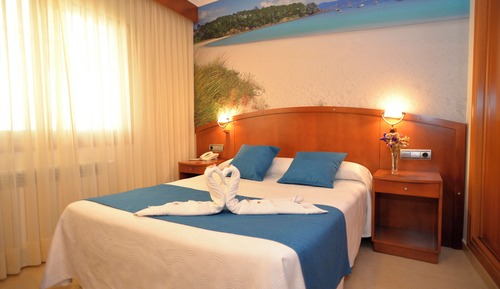 Basic Double Room