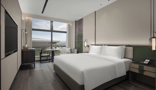 Standard Room, 1 King Bed, Mountain View