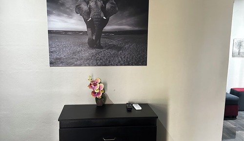 Comfort Single Room