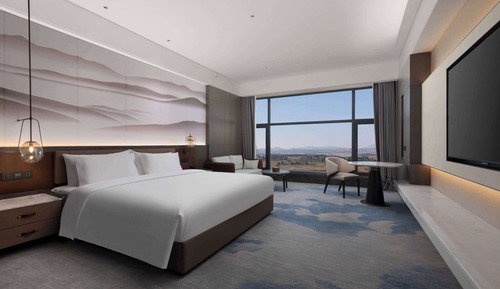 Deluxe Room, 1 King Bed with Sofa bed, City View