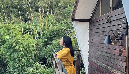 Tree House, Balcony, Mountain View