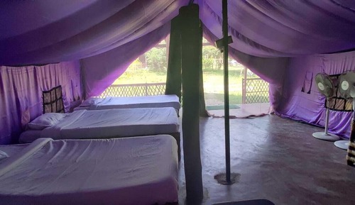 Classic Tent, Garden View