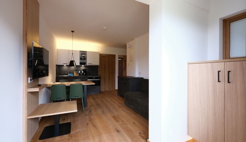 Comfort Apartment, Balcony, Mountain View