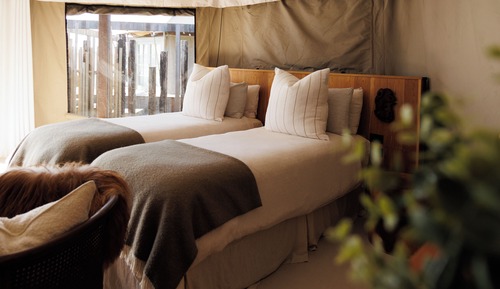 Deluxe Tent, 1 Queen Bed, Ocean View