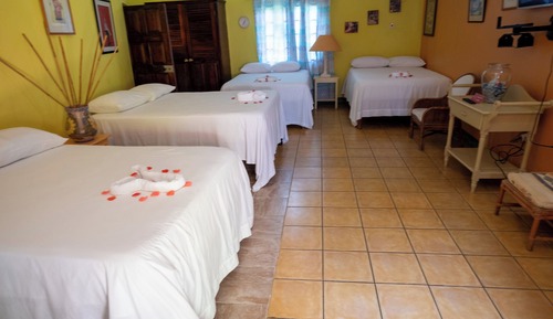 Room, Multiple Beds, Non Smoking, Garden View