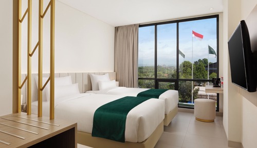 Deluxe Double or Twin Room
