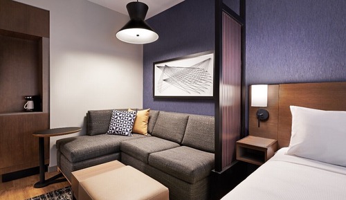 Room, 1 King Bed with Sofa bed