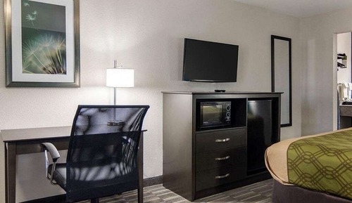 Single Room, 1 King Bed, Non Smoking, Microwave