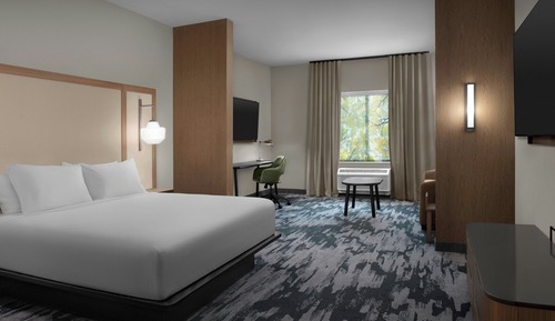 Suite, 1 King Bed with Sofa bed