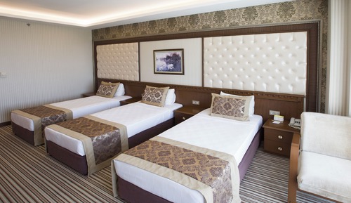Triple Room, Mountain View
