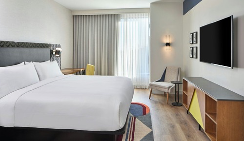 Room, 1 King Bed, Non Smoking (Mobility Accessible, Roll-in Shower)