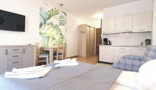 Standard Studio Suite, 1 Queen Bed with Sofa bed