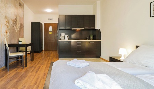 Economy Studio Suite, 1 Queen Bed with Sofa bed