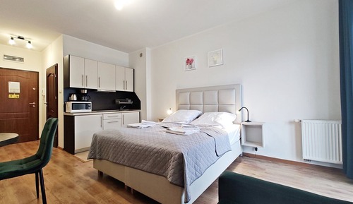 Standard Studio Suite, 1 Queen Bed with Sofa bed