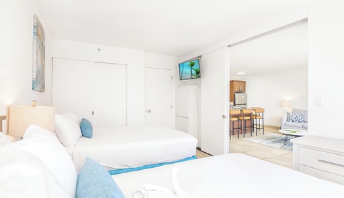 Condo, 1 Bedroom, Mountain View (0160)