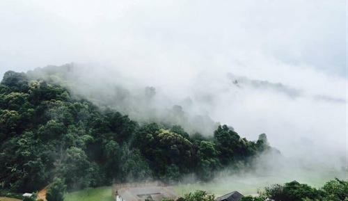 Basic Room, Hill View