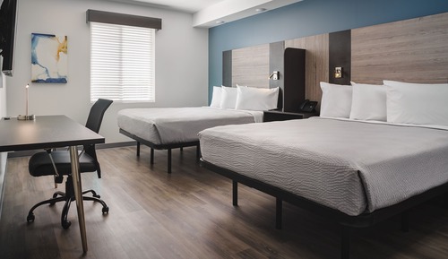 Suite, Mobility Accessible, Kitchen