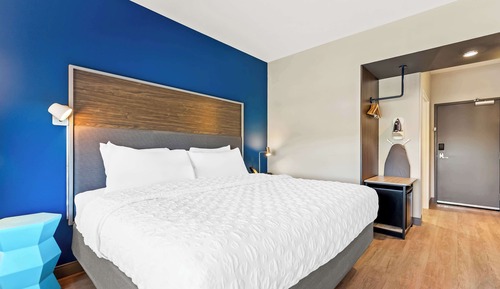 Room, 1 King Bed
