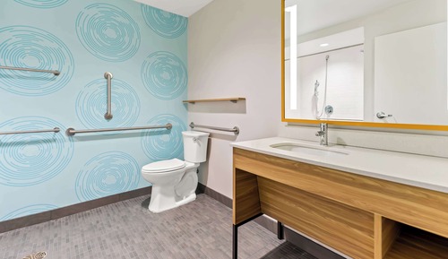 Room, 1 King Bed, Accessible (Roll-In Shower)