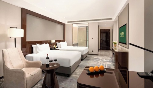 Superior Twin Room, City View