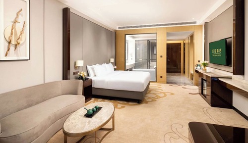 Luxury Room, City View