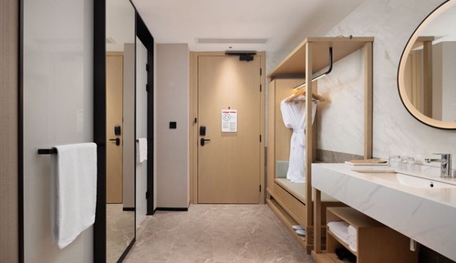 Room, 1 King Bed (Sofa Bed)