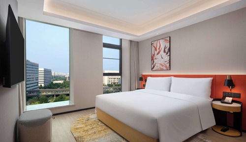 Basic Room, 1 King Bed