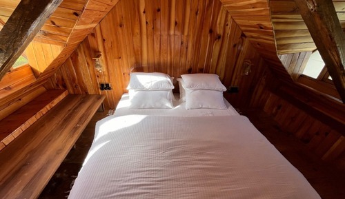 Basic Double Room