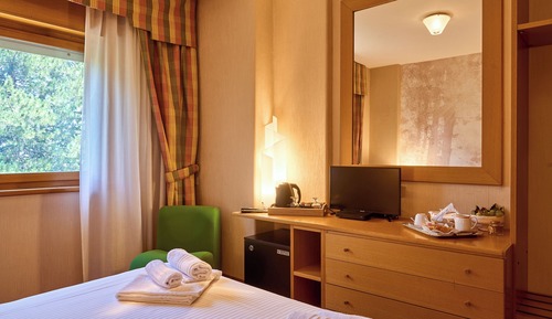 Deluxe Double or Twin Room