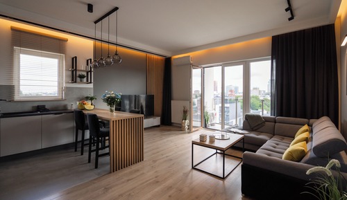 Deluxe Apartment, City View