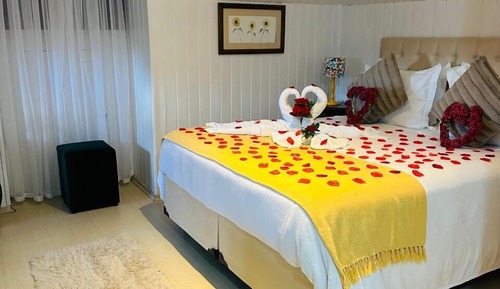 Comfort Suite
