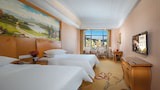 Superior Twin Room, City View