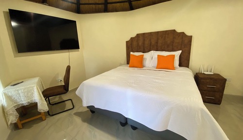 Premium Single Room