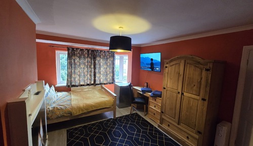 Comfort Single Room, 1 Double Bed with Sofa bed, Non Smoking