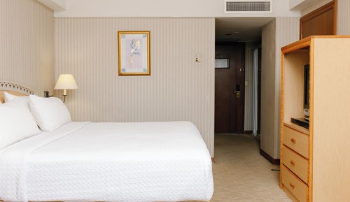 Standard Double Room, 2 Double Beds