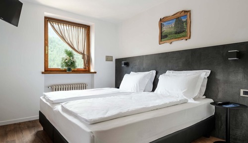 Standard Room, Multiple Beds, Non Smoking, Mountain View (Shower Only)