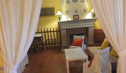 Junior Suite, Patio, Garden View